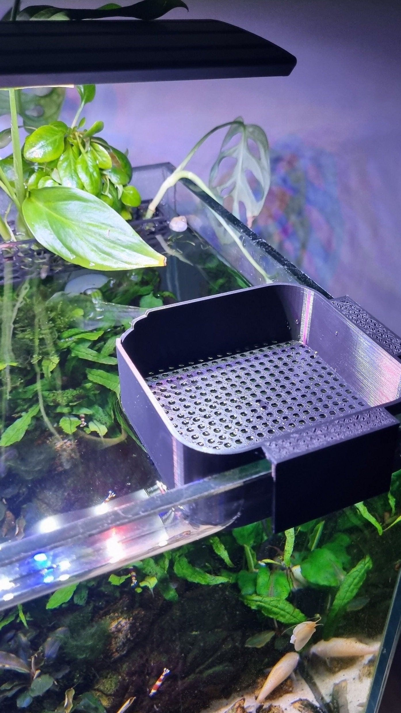 Waterverversingshulpstuk voor aquarium: ophangsysteem waterverspreider aquarium